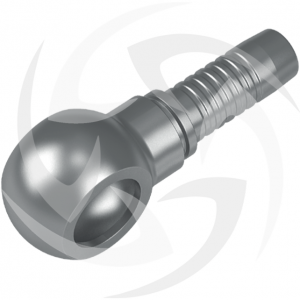 Banjo hydraulic fitting